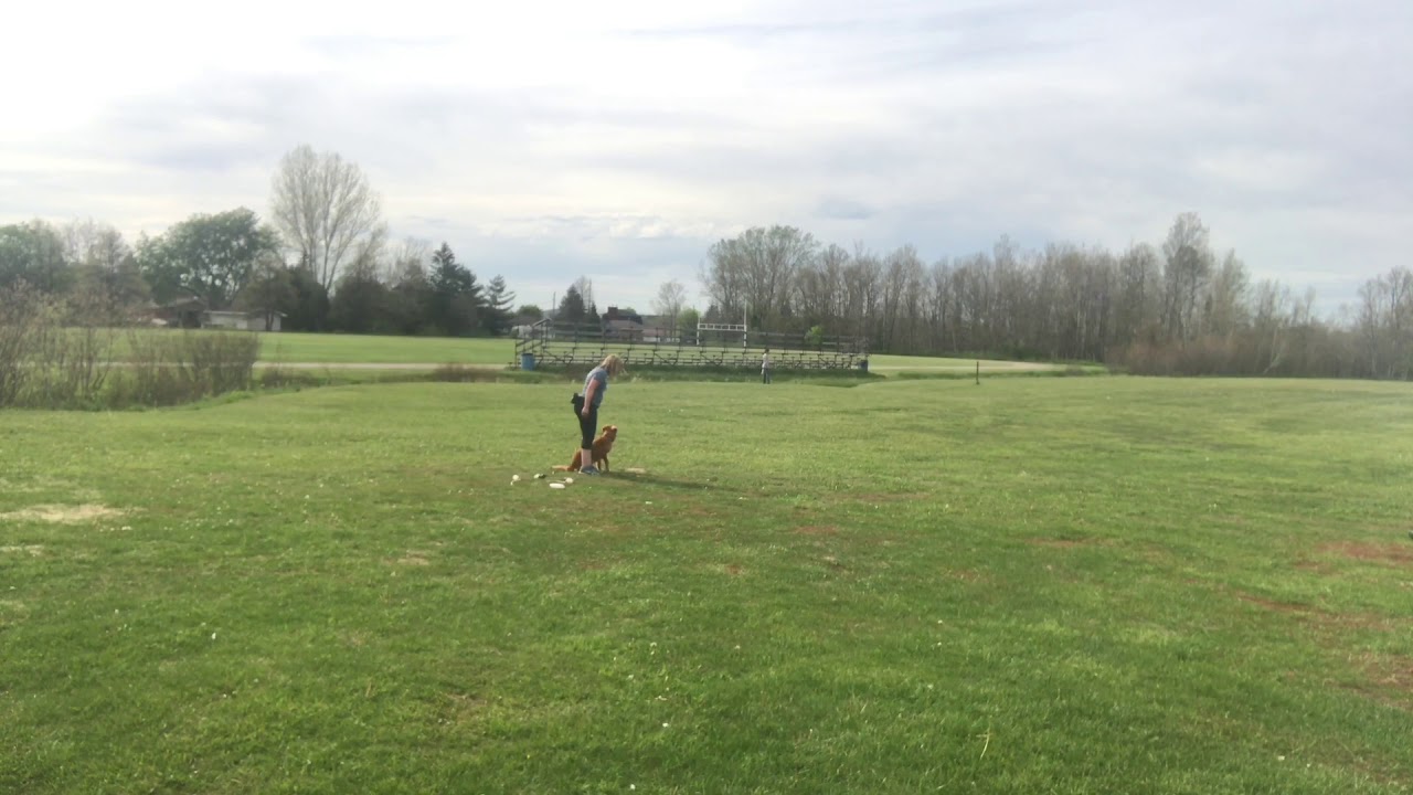 RS Relationship Drill Baseline - Slice