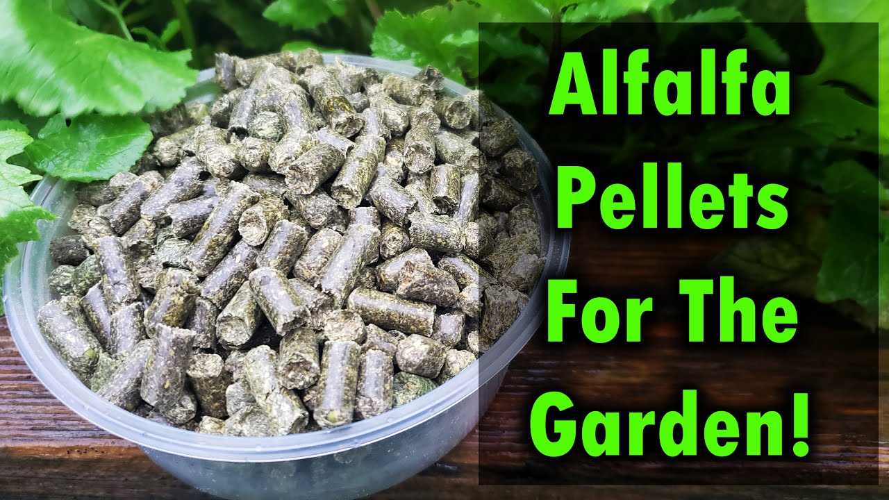Alfalfa Pellets As Fertilizer For Your Garden
