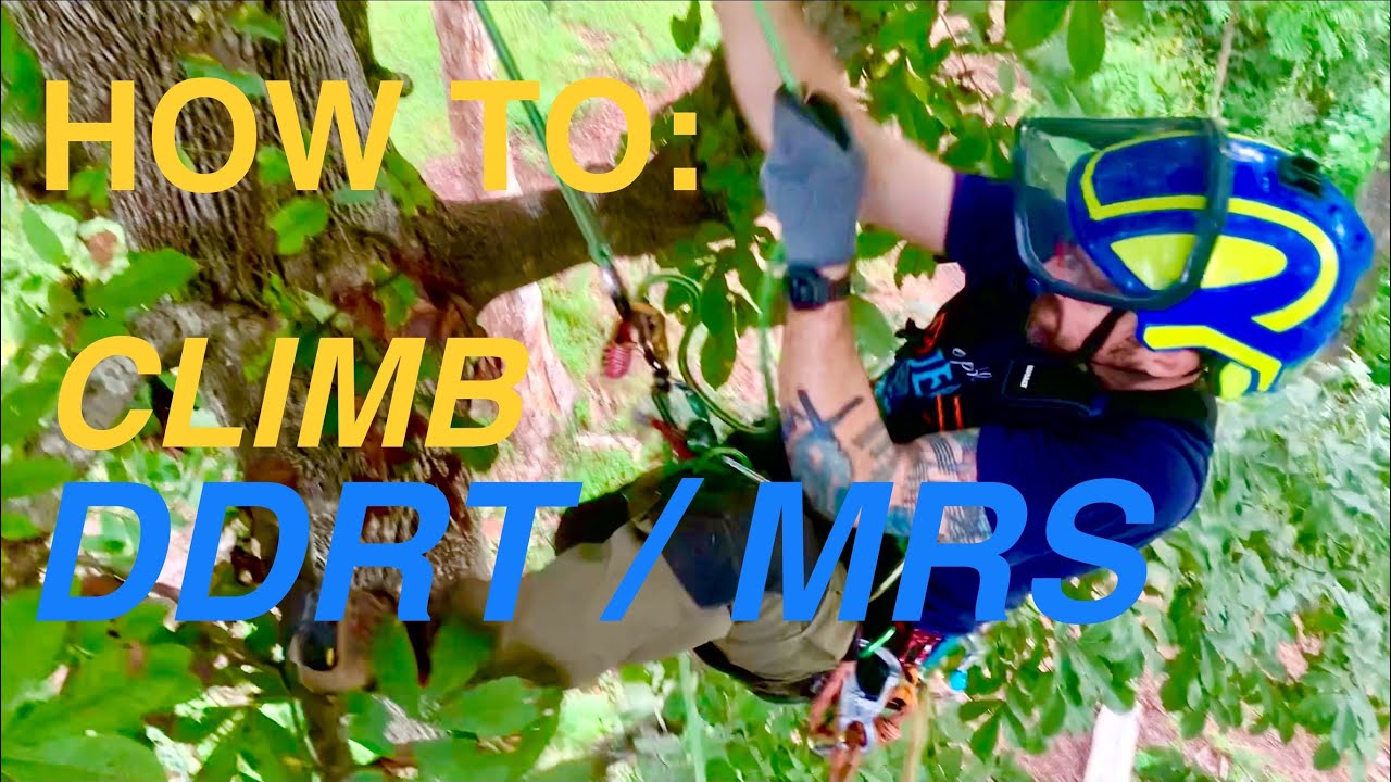 Intro to Tree Climbing: Basic DDRT/MRS Technique