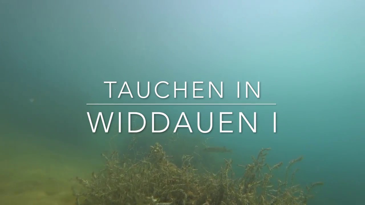 Tauchen in Widdauen I - #152, #153, #154