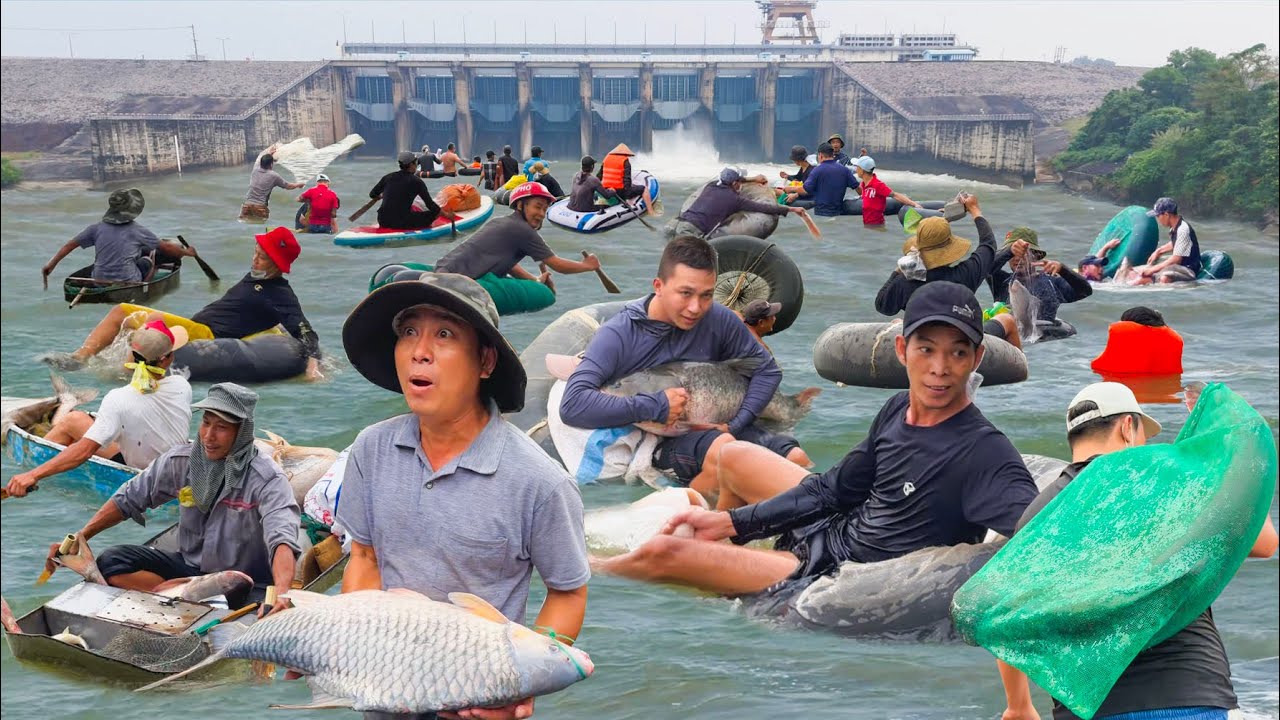 Đua Nhau Bắt Cá Lớn Khi Hồ Trị An Đóng Cửa Đập║Xóm Nhà Nổi Trên Lòng Hồ Mã Đà