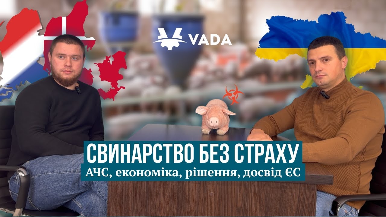 Свинарство без страху: АЧС, економіка, рішення, досвід ЄС