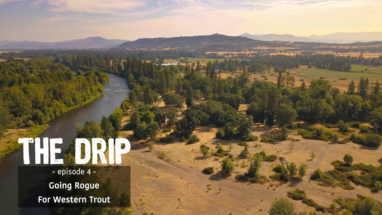 Rogue River Summer Steelhead| THE DRIP [Ep. 4]