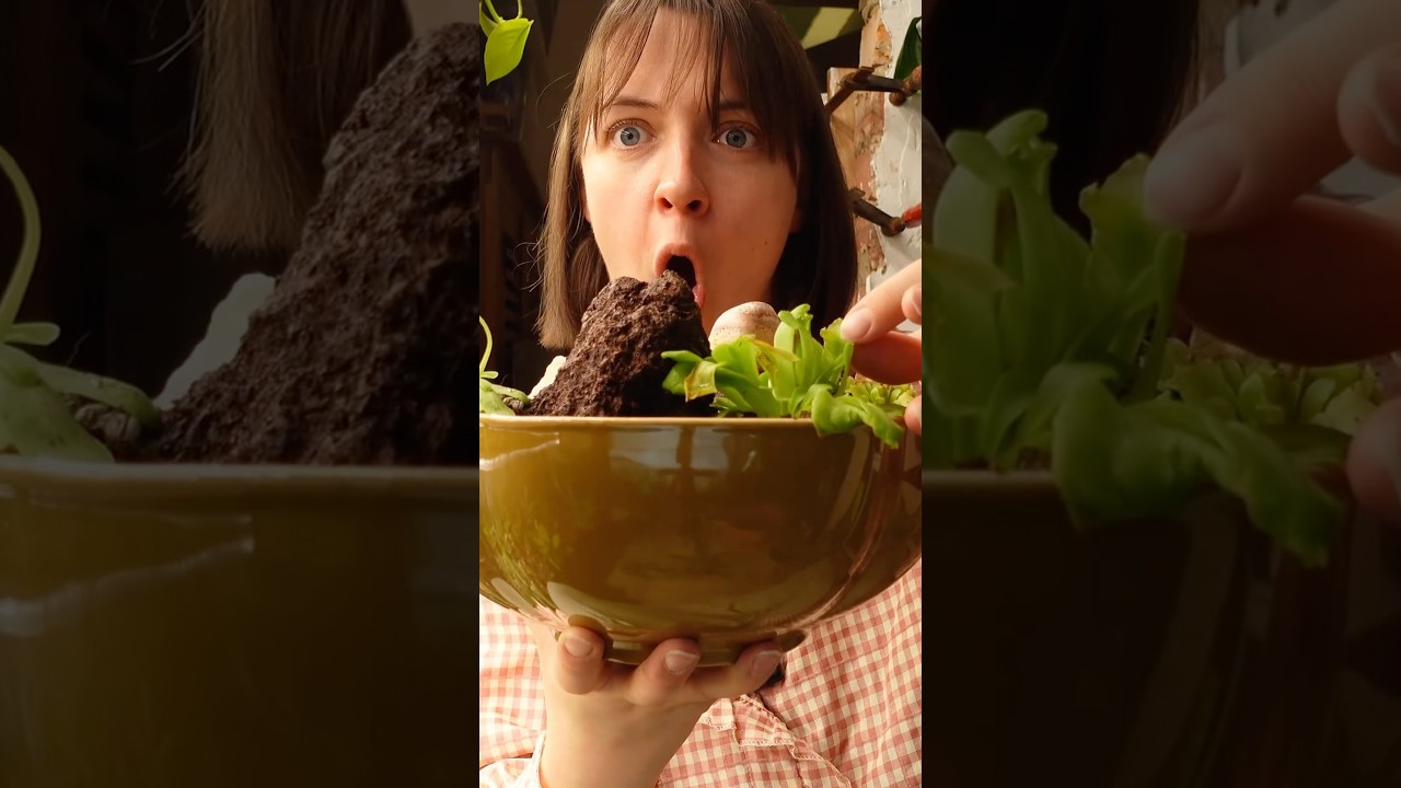 Смотрите здесь👆🏻 