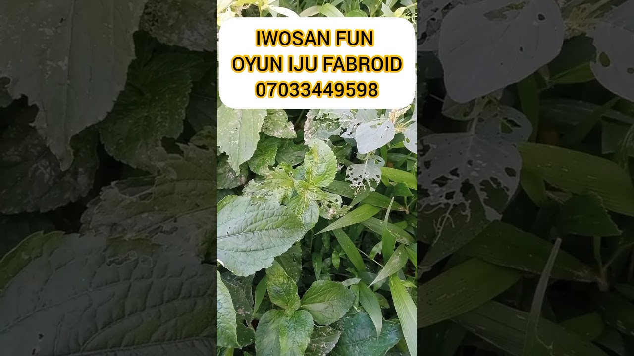 SOLUTION FUN OYUN IJU FABROID