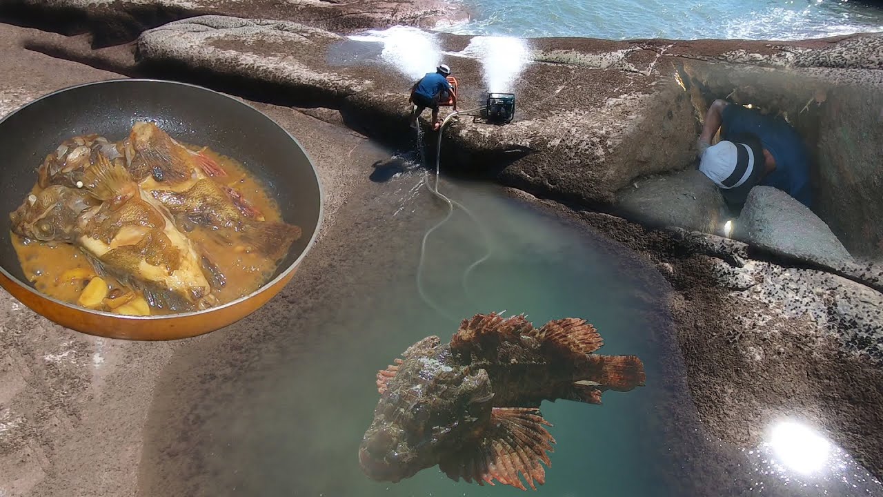 小囿登岛抽坑鱼货爆跳，一窝几百条场面壮观，成精石九公猛如虎鱼