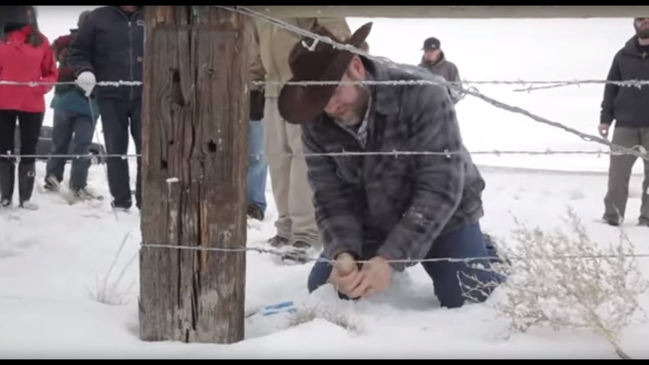 Ammon Bundy, Malheur militants tear down section of U.S. Fish and Wildlife fence