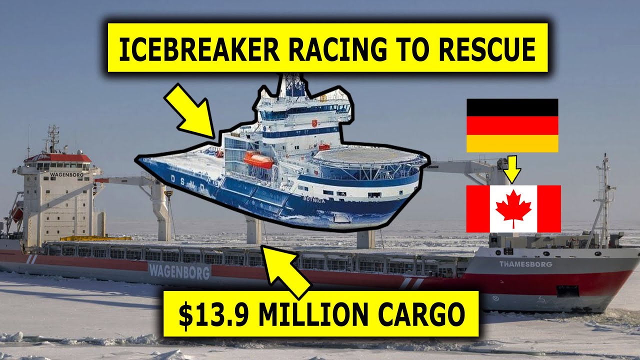 🆘 Can This Icebreaker Rescue This Ship And Its $13.9 Million Cargo? 🚢 Thamesborg / Botnica