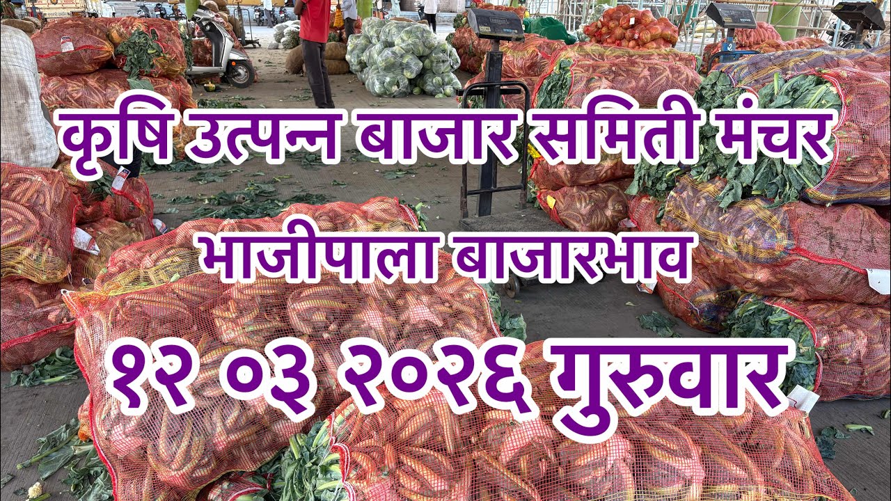 बाजारभाव १२ ०३ २०२६...