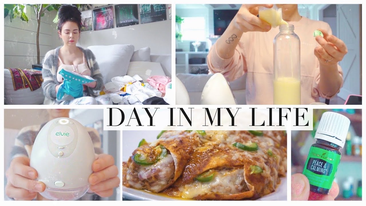 DIML: Exclusively Pumping Mama! Using My Elvie Pump, Cooking Meals & Relaxing With My Baby!