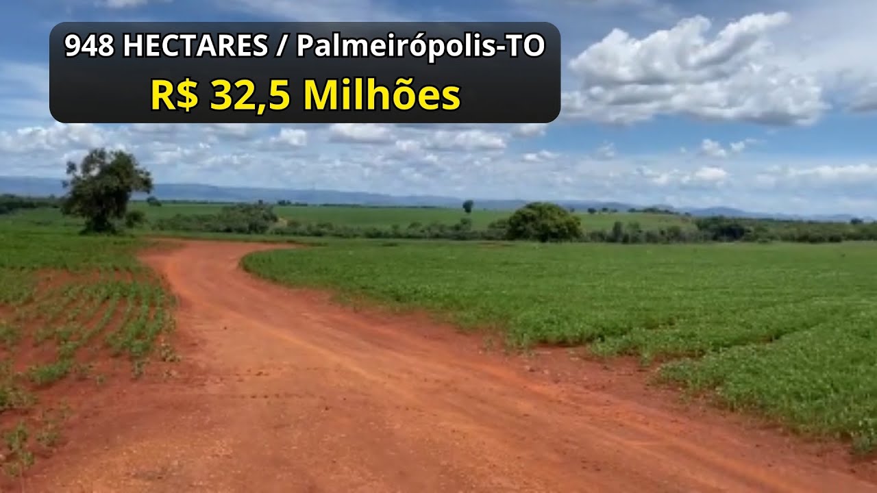 Fazenda Produtiva no TO | Dupla Aptidão, Água Abundante e Estrutura Completa