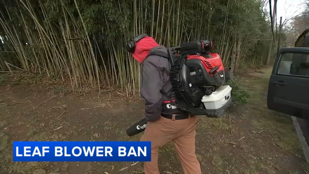 Lower Merion Twp. considering ban on gas-powered leaf blowers