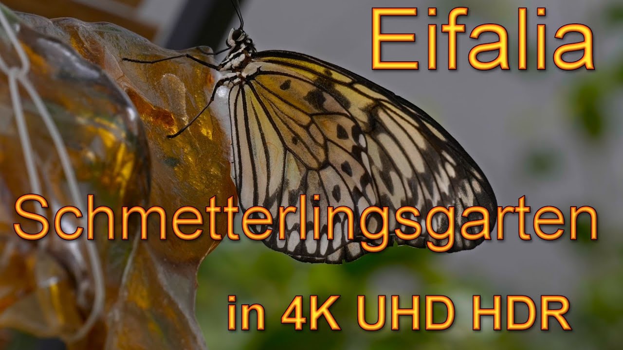 Eifalia Schmetterlingsgarten (Eifalia Butterfly Garden) in 4k UHD HDR (High Dynamic Range)