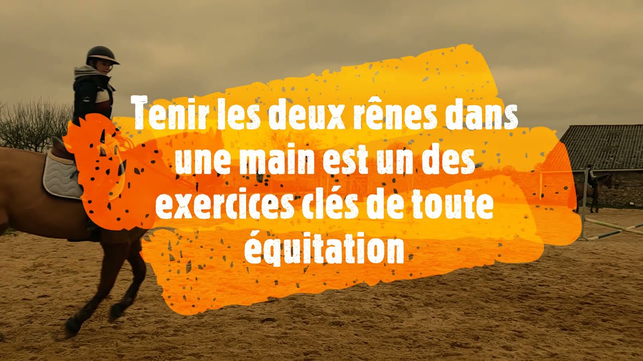 Montez les deux rênes dans une main