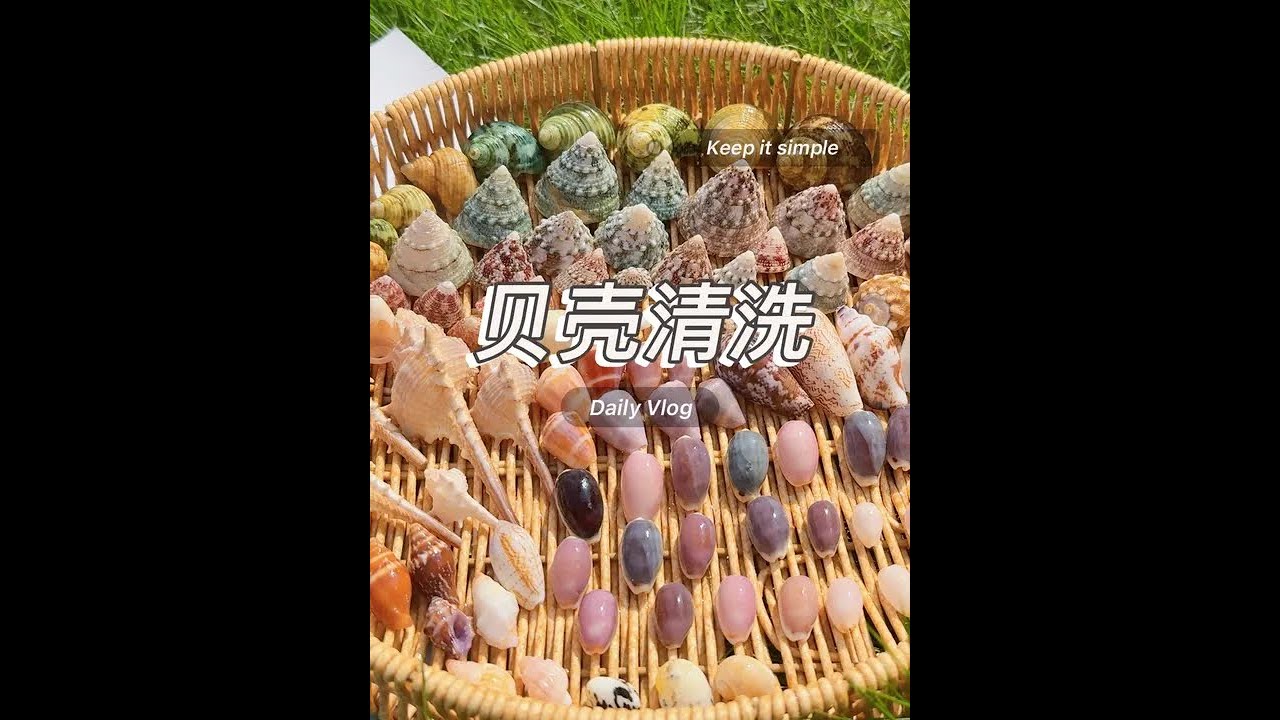 贝壳清洗 | 涠洲岛 来给贝壳洗洗澡吧，同款草酸在橱窗，兑水 1:1稀释使用，不可接触皮肤，通风处操作#种草 #强烈推荐 #涠洲岛#捡贝壳#解压