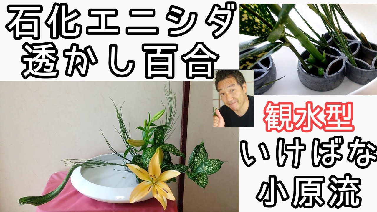 いけばな小原流　観水型　透かし百合　石化エニシダ　ドラセナゴッドセフィアーナ　色彩盛花色彩本位　始めよういけばな　レッスン！