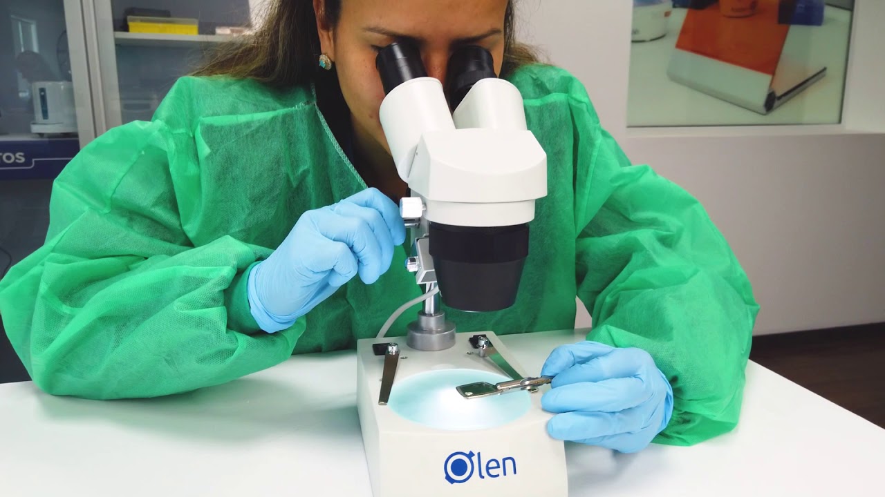 Lab de A a Z: Estereomicroscópio Binocular Basic 80x Olen