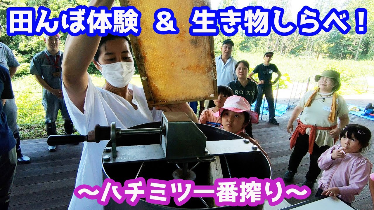 【新潟】第５回田っぽビオトープ大作戦を開催！【ハチミツ】