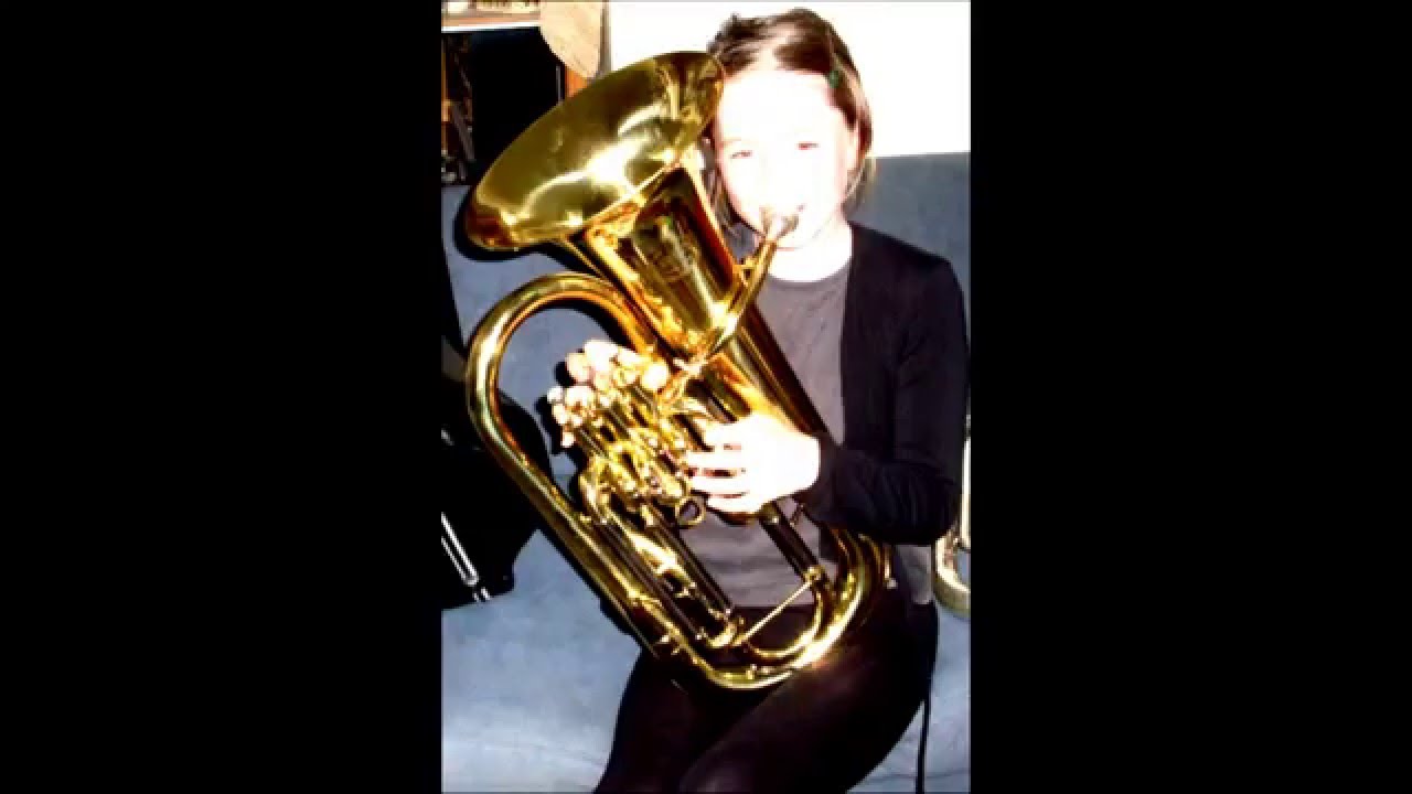 V&Iacute;DEO CON PICTOGRAMAS: Instrumentos de VIENTO METAL.