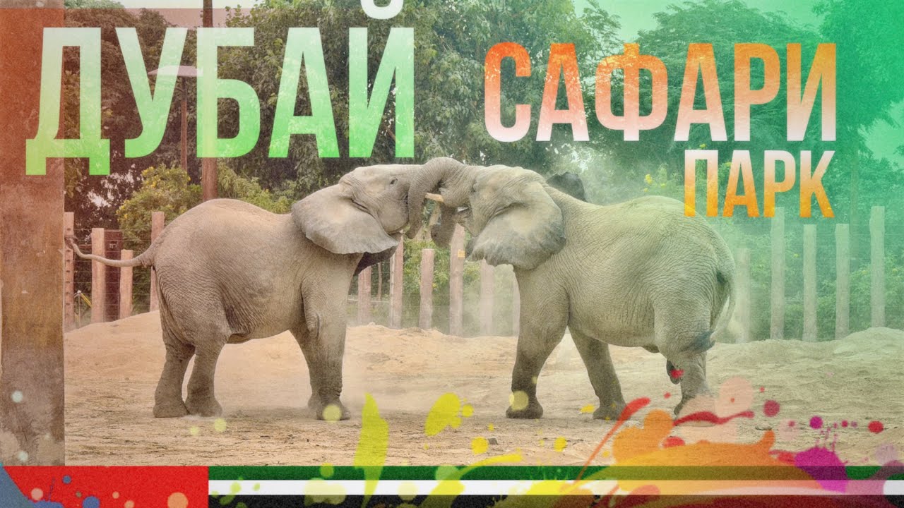 ДУБАЙ САФАРИ ПАРК 2025🇦🇪 ЛУЧШЕЕ МЕСТО В ДУБАЕ🔥