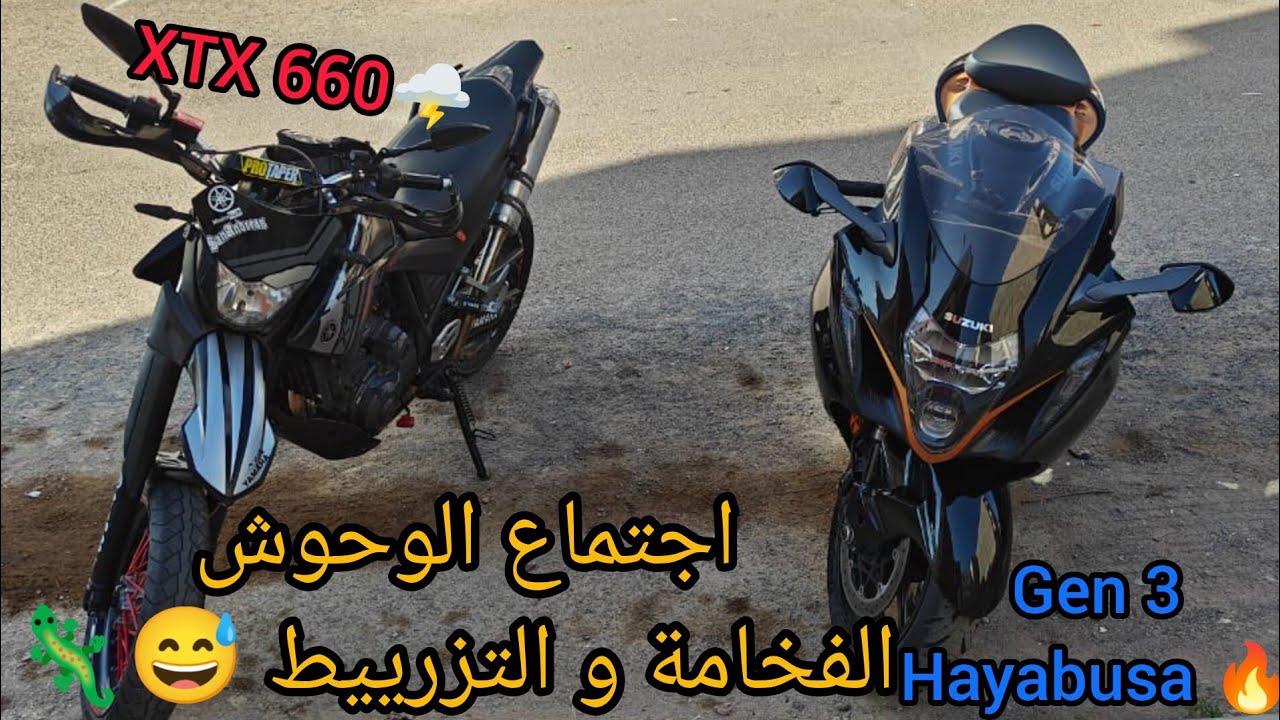 وحوش الطرقات