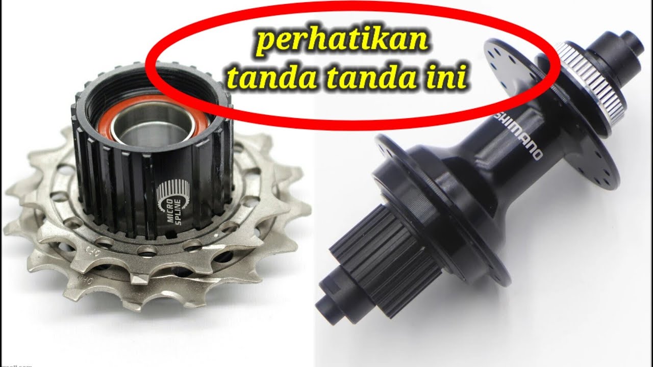 review perbedaan microspline VS non microspline