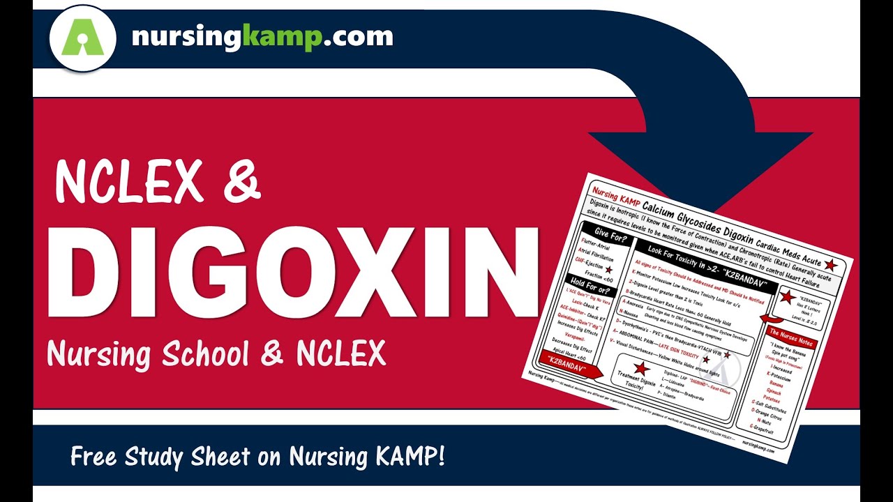 What are Calcium Glycosides and  lanoxin Cardiac Meds  Digoxin Nursing KAMP NCLEX 2020