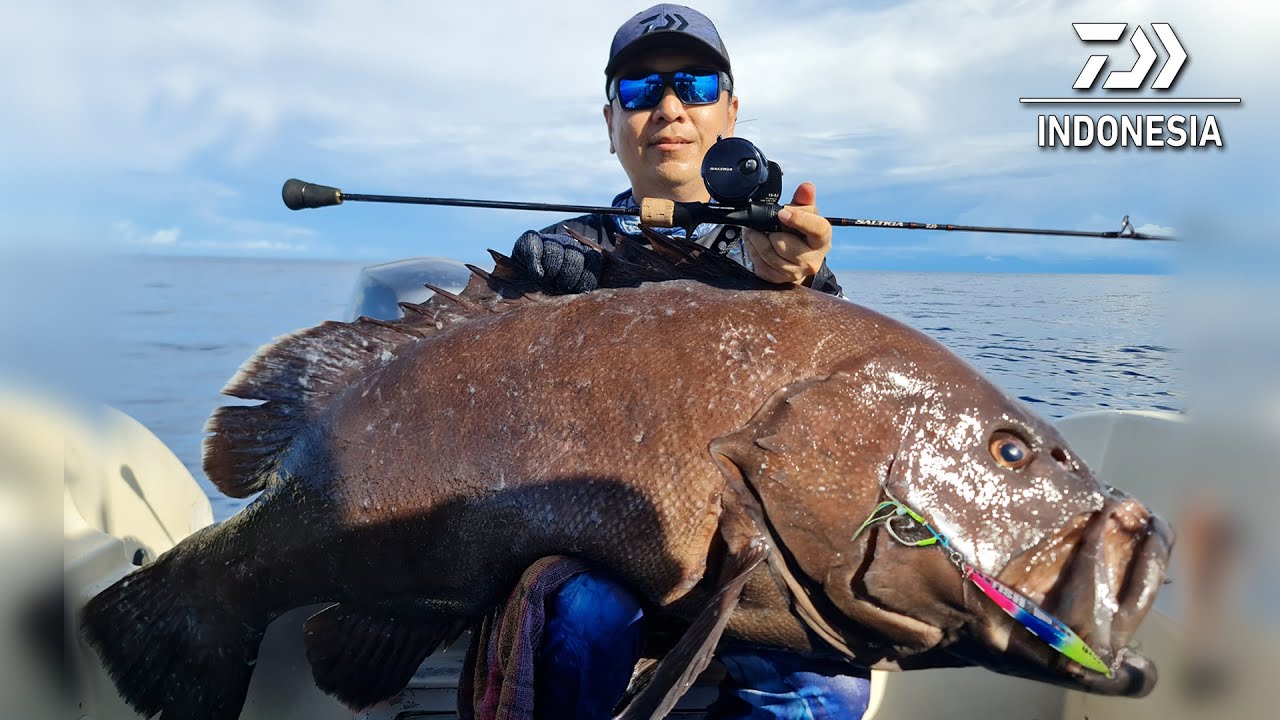 MONSTER KERAPU BERHASIL LANDED DENGAN JORAN DAIWA SALTIGA AGS 55B 4TG PE 1.2 - 3.0