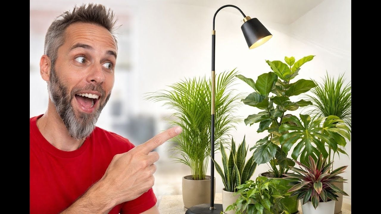 Best Grow Lights