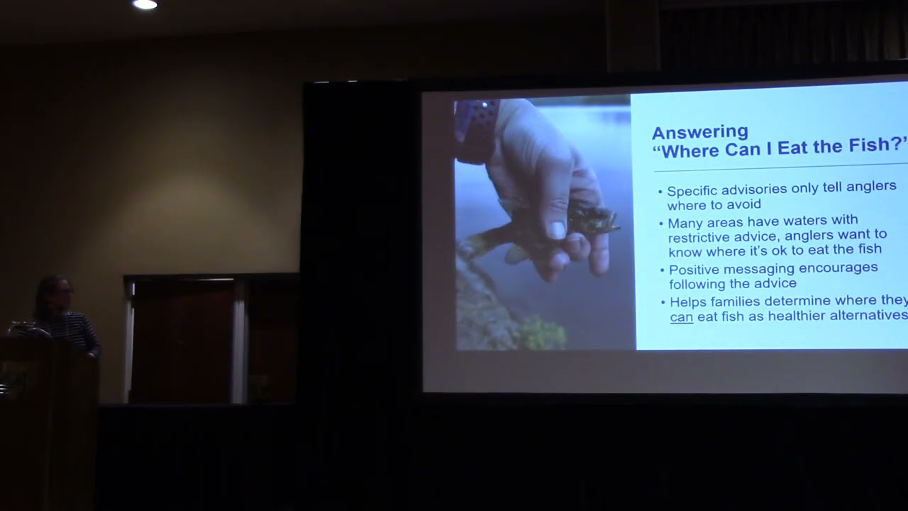 Audrey Van Genechten- Where Can I Eat the Fish? Turning a Negative into a Positive Picture