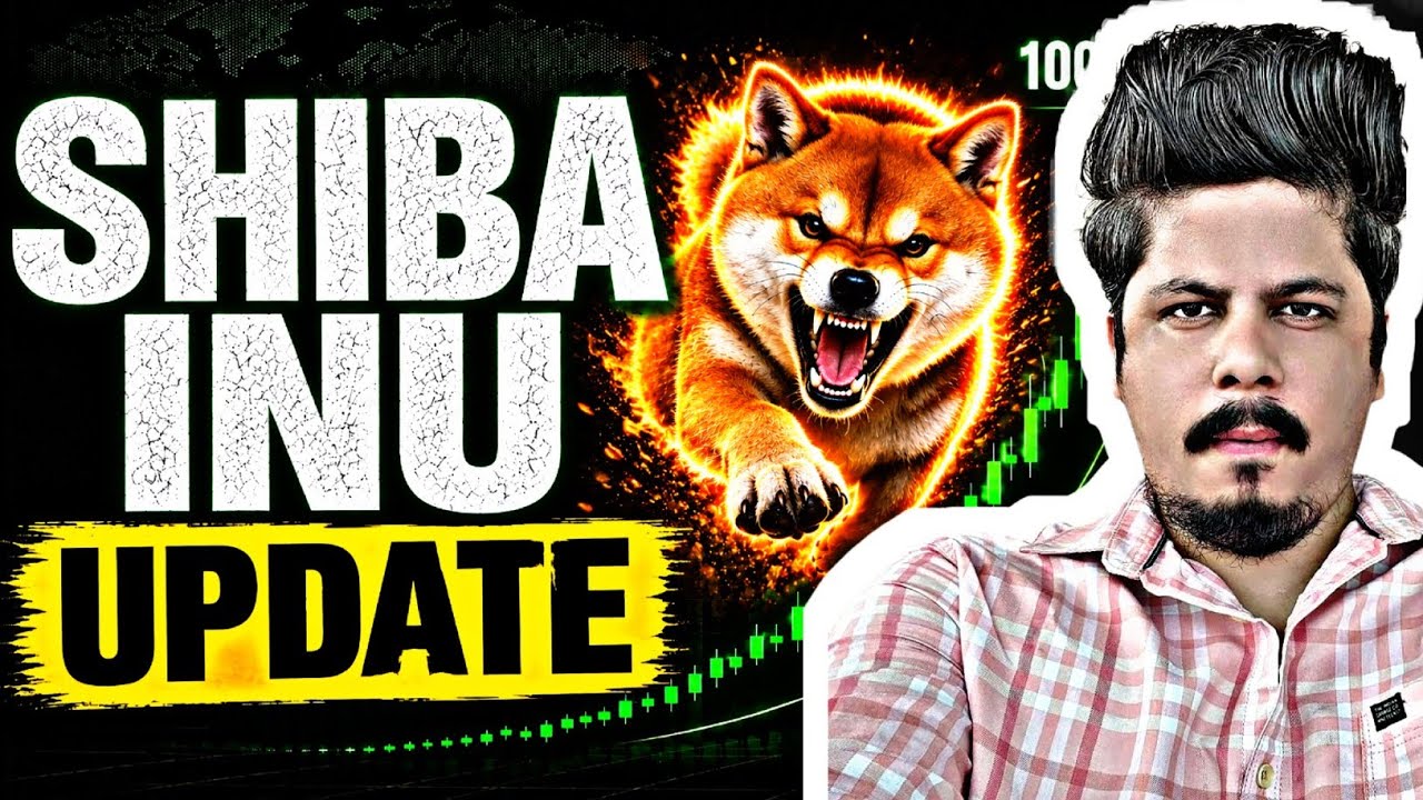Shiba Inu Update