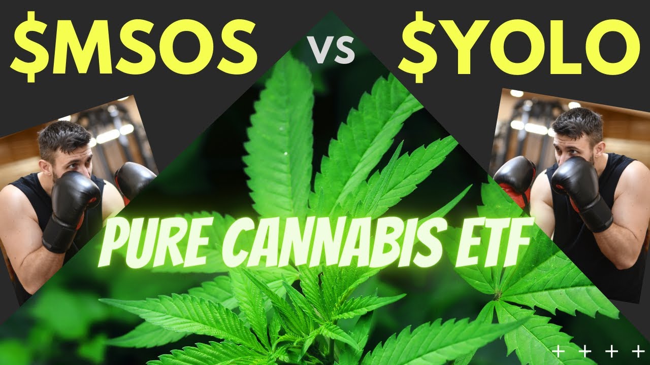CANNABIS STOCKS ETF BATTLE: $MSOS VS $YOLO
