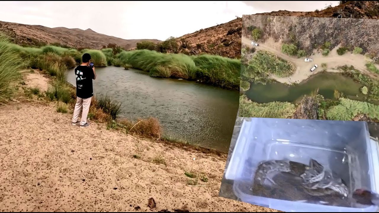 رحلة جديدة  سوينا فيها دغابيس وصدنا حية الجمال السامة