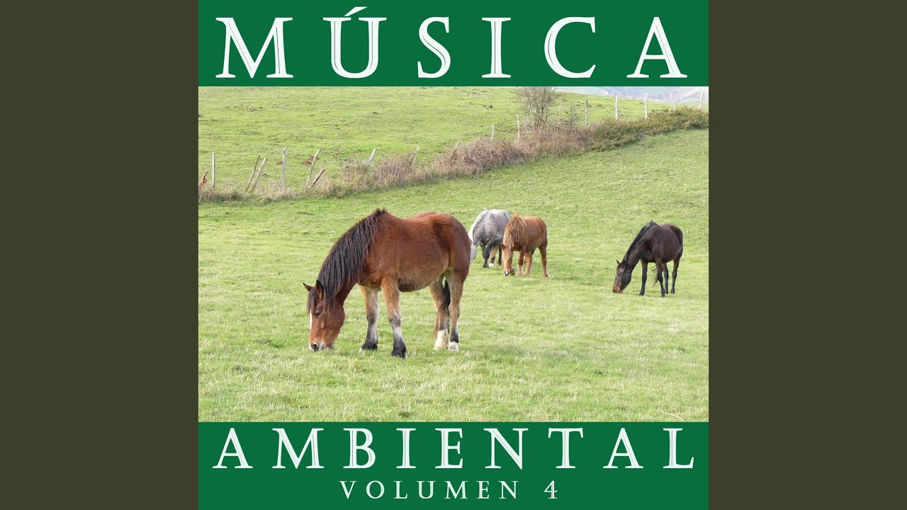 El Milagro del Amor (Instrumental)