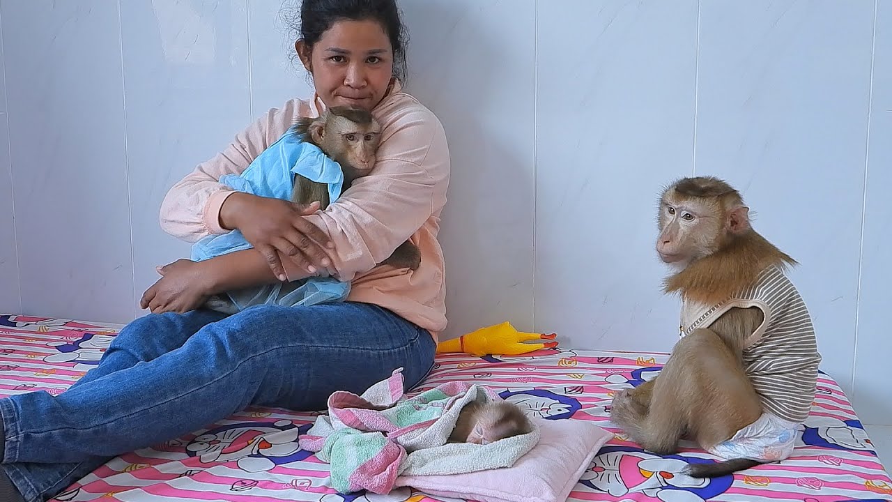 Relaxing Midday With Adorable Luna Little Olly And Tiny Valen Routine