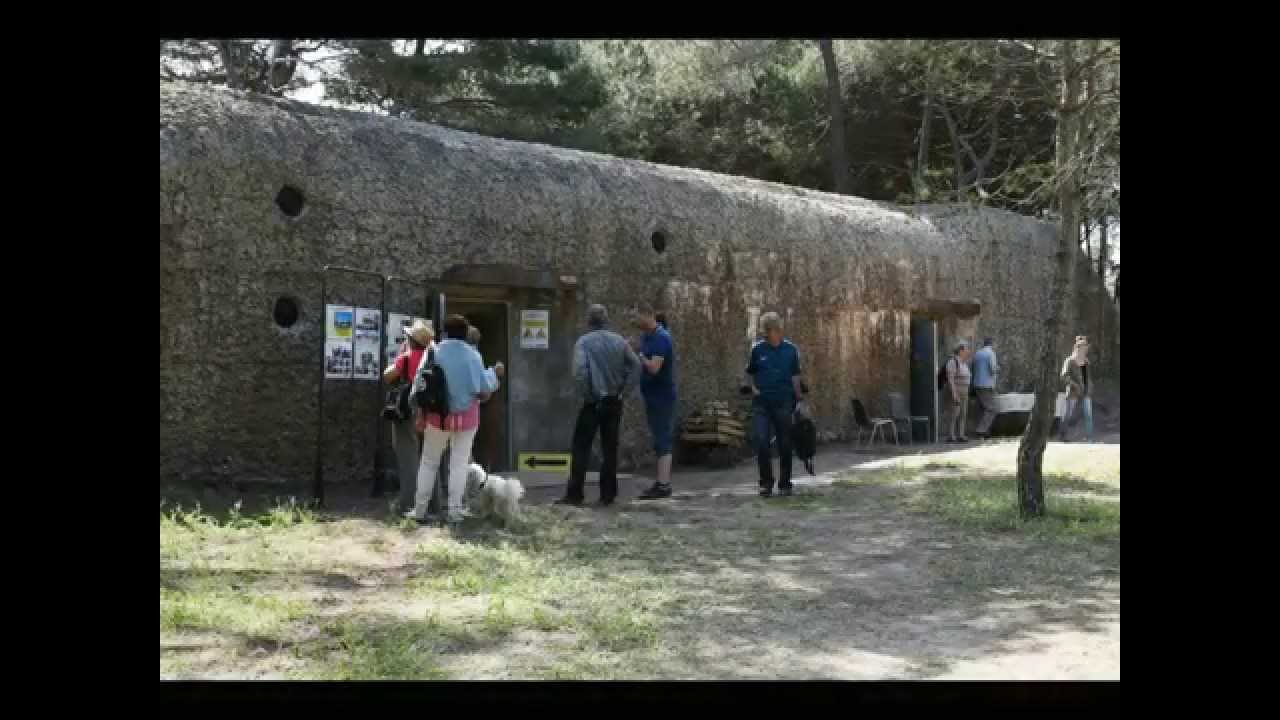 2015 BUNKER 638 à Agde
