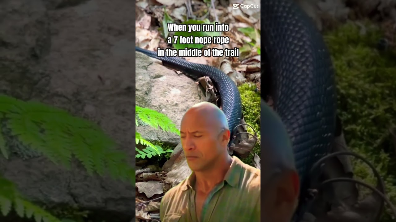 We&rsquo;ve all been there. #travel #hiking #backpacker #adventuretravel #outdoorsy #hikingadventure