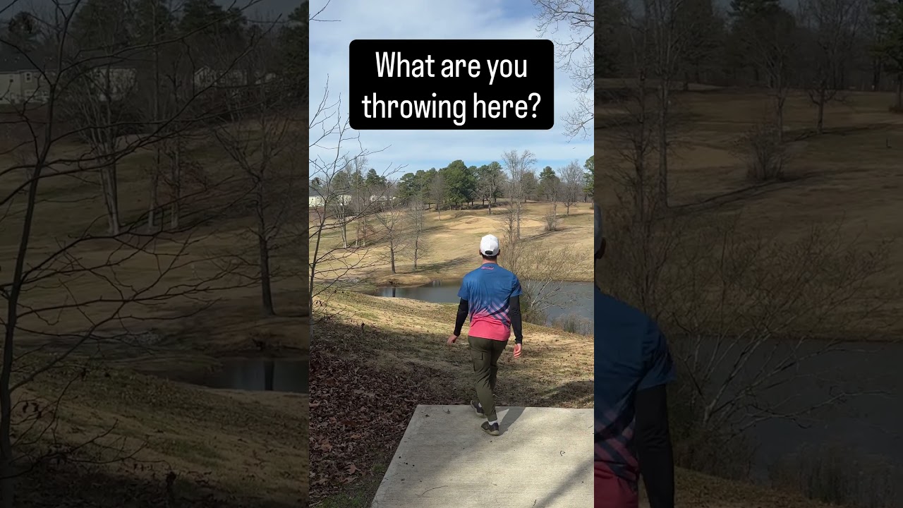 What’s you disc for this hole? 