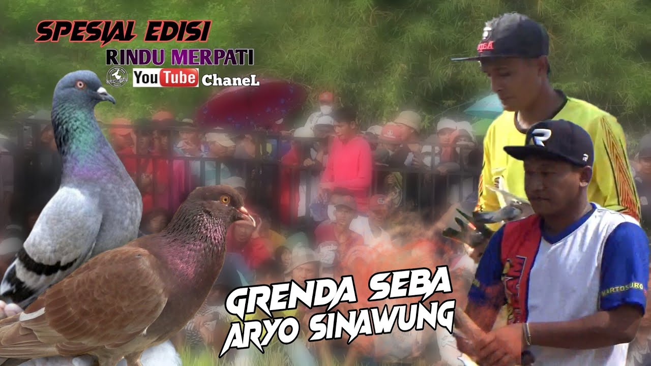 AKSI AKSI GRENDA SEBA DAN ARYO SINAWUNG DI LOMBA MOBIL NEW AYLA LEGOK CILLE