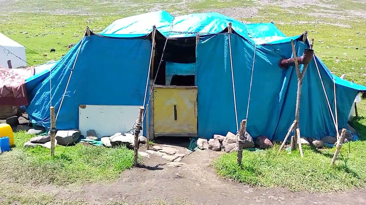 YAYLADA KOYUN SAĞMA NASIL OLUR İŞTE !!