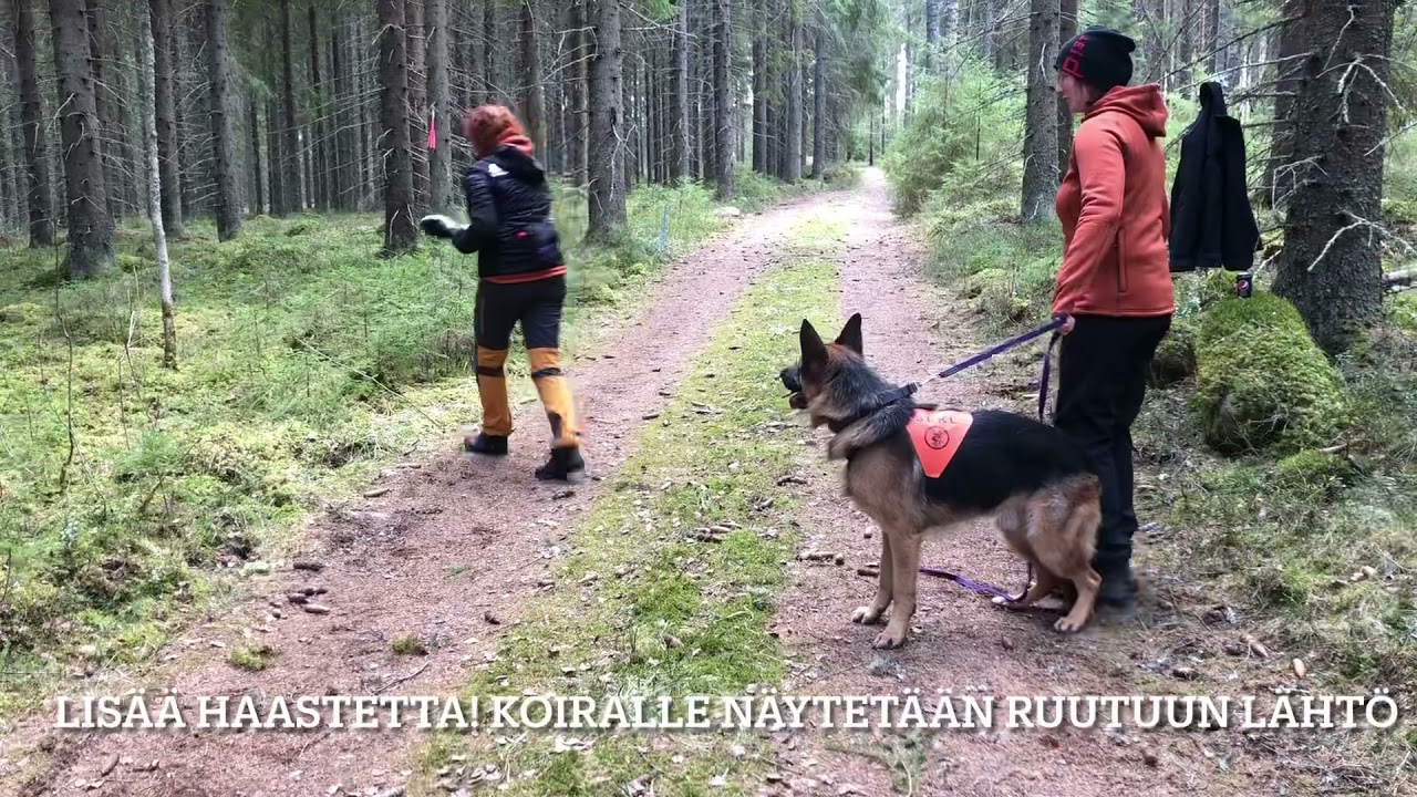 Esine-etsint&auml; osa 3