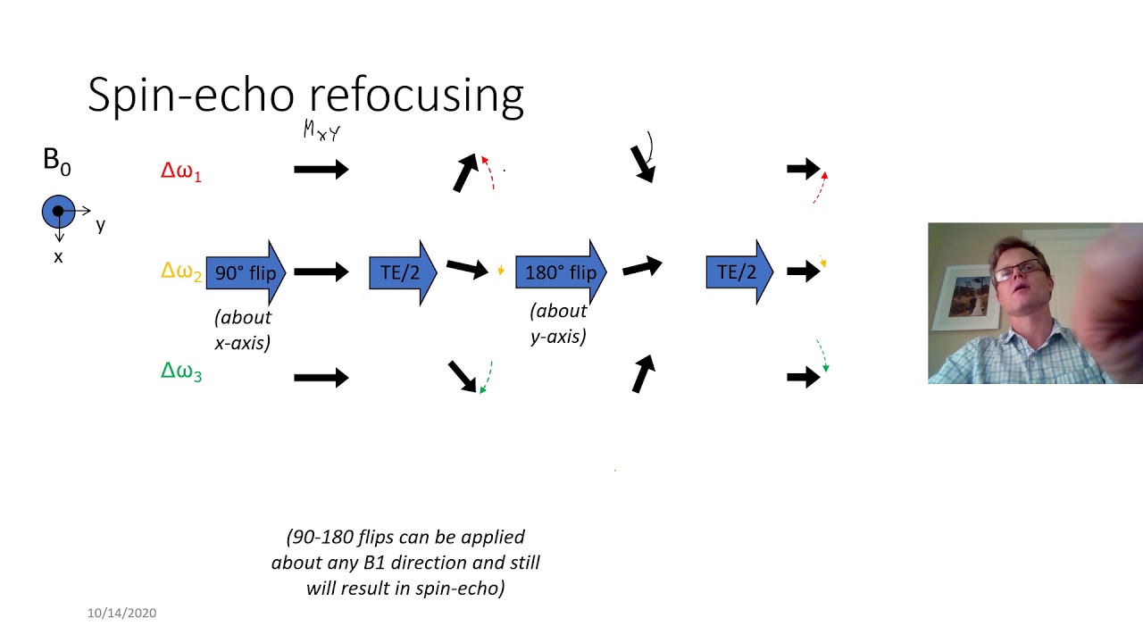 Ch08   Pulse Sequences Part II Spin echo