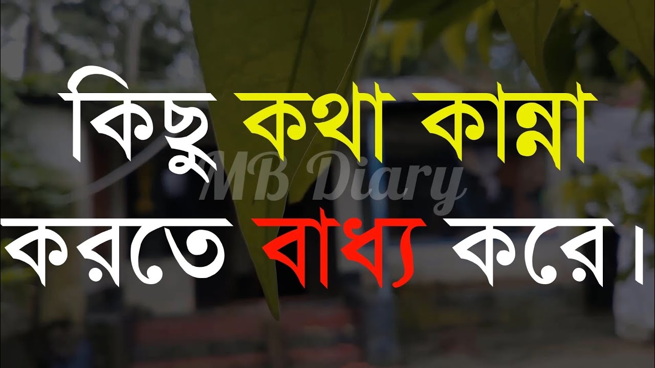 কিছু কথা কান্না-Life Changing Motivational Quotes in Bengali | Monishider Bani Kotha By MB Diary