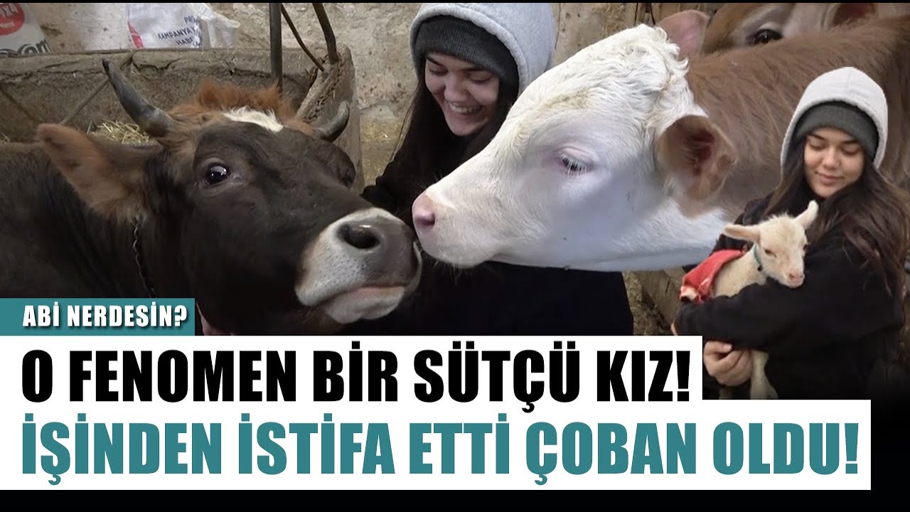 O Fenomen Bir Sütçü Kız! Belediye'den İstifa Etti Çoban Oldu! Sema Mihaliç | Abi Nerdesin?