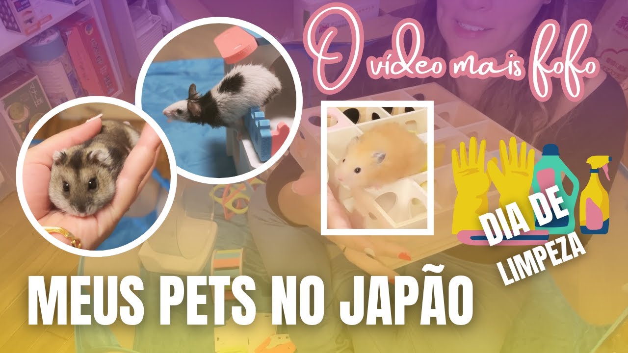 Limpando o alojamento dos meus hamsters e ratinho + unboxing
