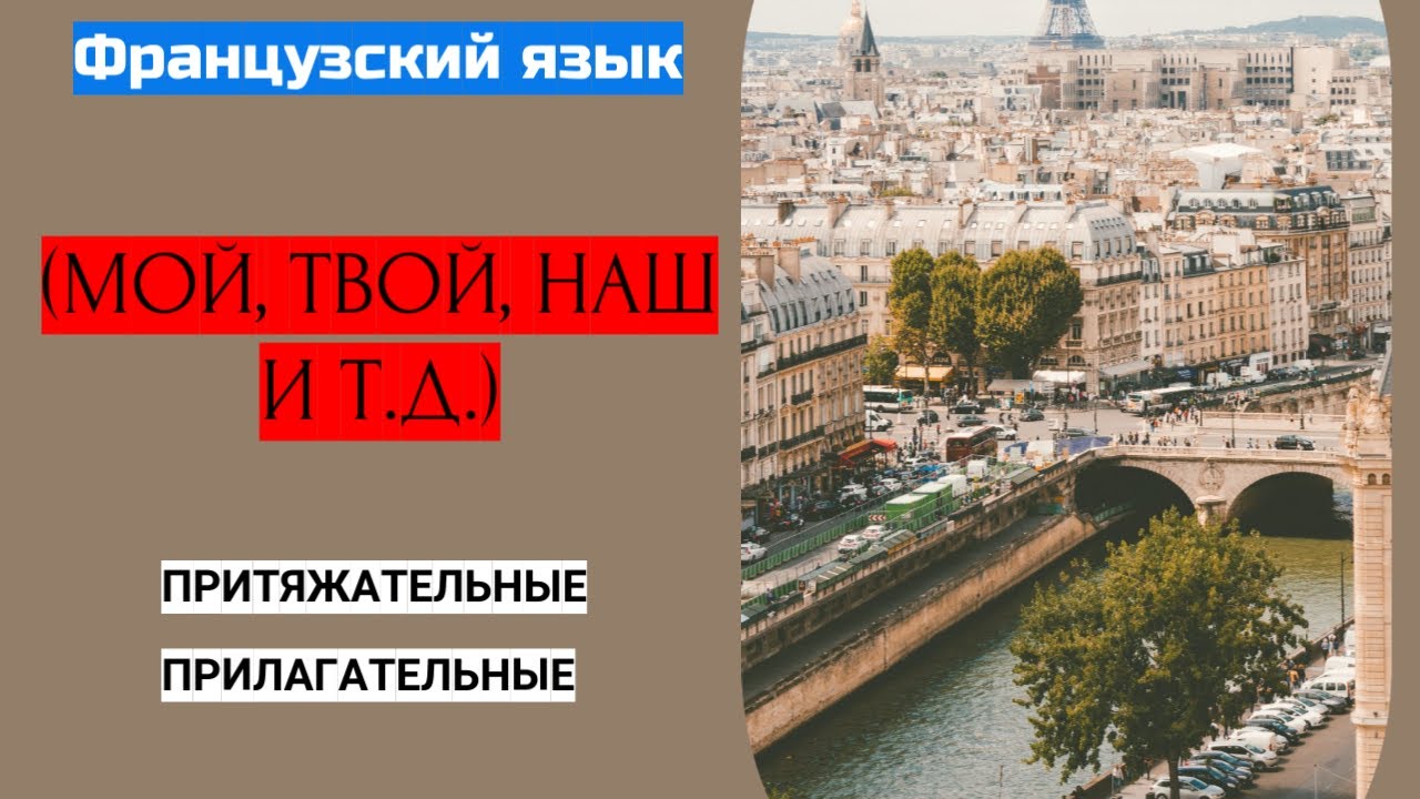 Притяжательные прилагательные во французском языке. Adjectifs possessifs