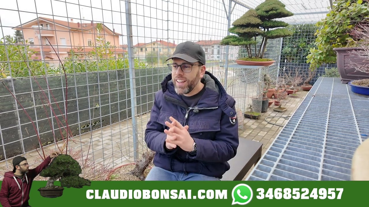 METTI GIU LE FORBICI... TI SPIEGO BENE COME POTARE IL BONSAI