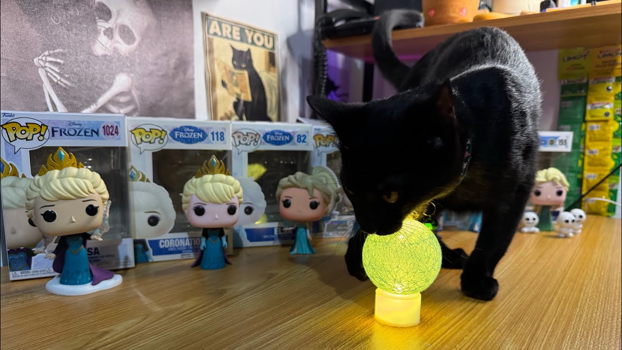 Funko Pop Elsa de Frozen colecci&oacute;n completa #unboxingfunkopop #disney #funkopop #asmr #rese&ntilde;a