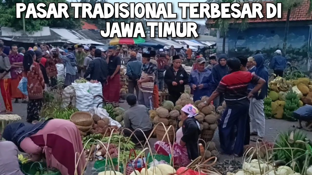 HARI SABTU LIHAT HARGA DURIAN REMPAH