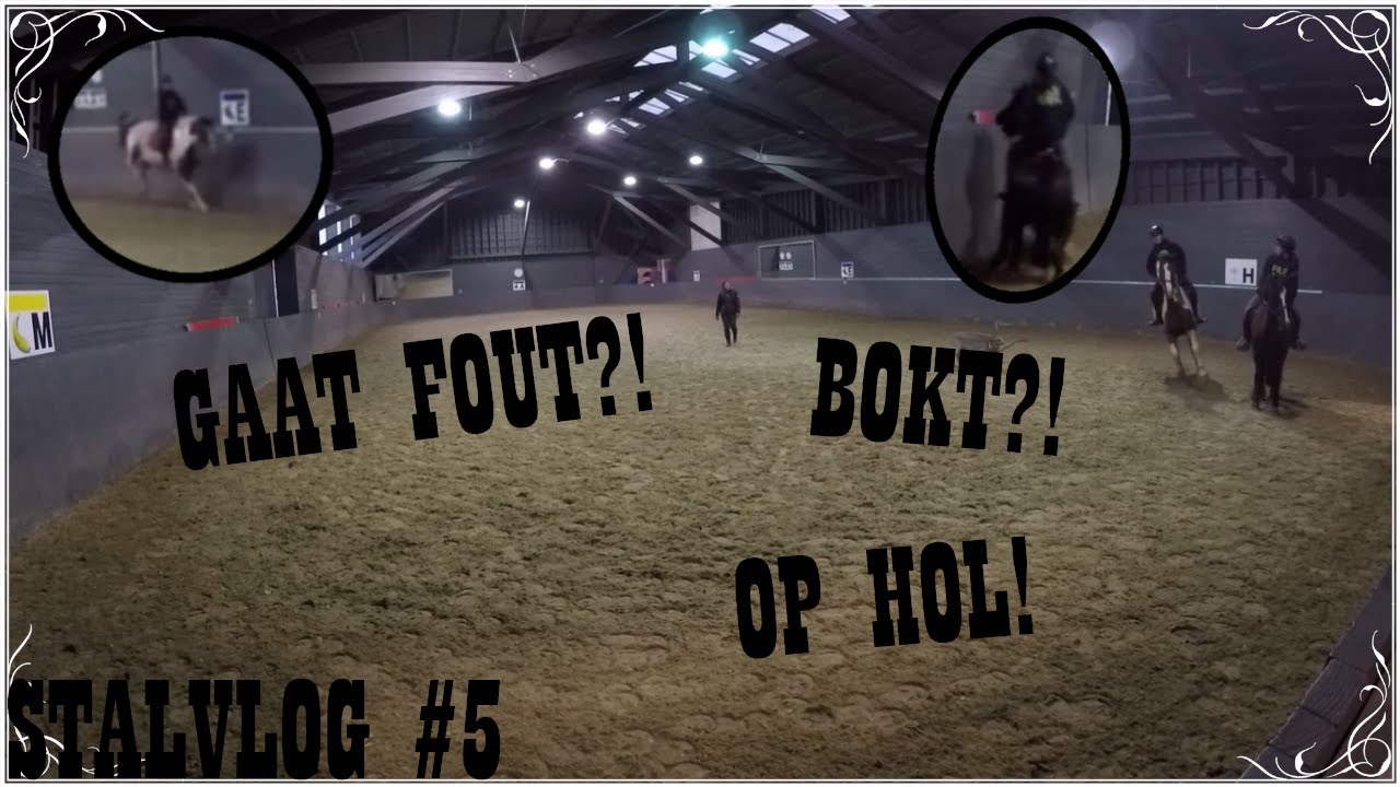 Qashqai slaat OP HOL en EINDELIJK rijden met Brave || Stalvlog #5 || Horse Equality